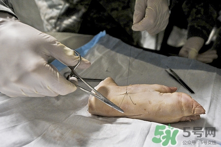 豬蹄能用微波爐加熱嗎?熟豬蹄怎么加熱 豬蹄能用微波爐加熱嗎?熟豬蹄怎么加熱