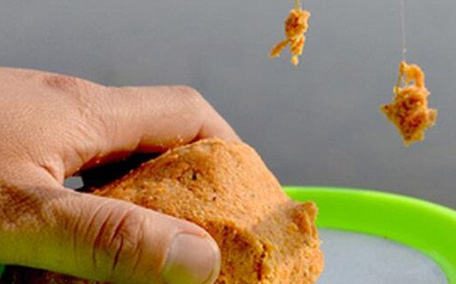 青魚怎么釣？釣青魚用什么餌料最好？