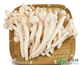 真姬菇的營(yíng)養(yǎng)價(jià)值 真姬菇的功效與作用 真姬菇的營(yíng)養(yǎng)價(jià)值 真姬菇的功效與作用