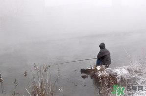 冬天釣魚用什么餌料？冬天釣魚用什么小藥？