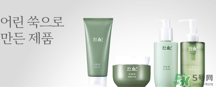 韓律艾草洗面奶多少錢？韓律艾草洗面奶專柜價(jià)格