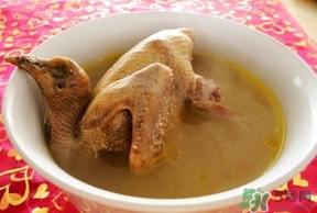 鴿子湯可以放當(dāng)歸嗎?鴿子湯和當(dāng)歸一起燉有什么營養(yǎng) 鴿子湯可以放當(dāng)歸嗎?鴿子湯和當(dāng)歸一起燉有什么營養(yǎng)