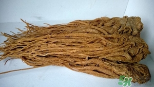 鴿子湯可以放當(dāng)歸嗎?鴿子湯和當(dāng)歸一起燉有什么營養(yǎng) 鴿子湯可以放當(dāng)歸嗎?鴿子湯和當(dāng)歸一起燉有什么營養(yǎng)