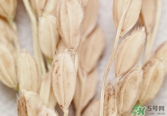 韓律適合什么膚質(zhì)？韓律適合敏感肌膚嗎？