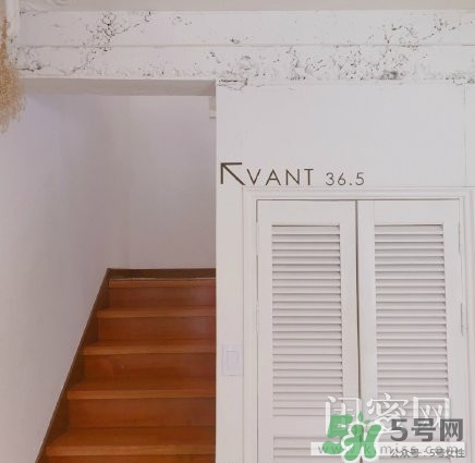 vant氣墊粉底霜怎么樣？vant36.5粉霜粉膏好用嗎？