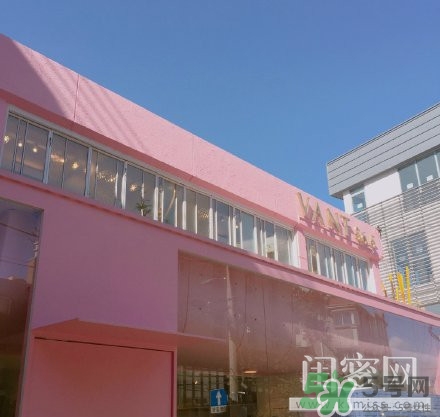 vant氣墊粉底霜怎么樣？vant36.5粉霜粉膏好用嗎？