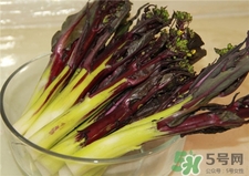 紅菜薹的營(yíng)養(yǎng)價(jià)值 紅菜薹的功效與作用 紅菜薹的營(yíng)養(yǎng)價(jià)值 紅菜薹的功效與作用