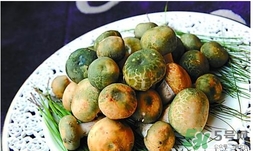 綠菇的營(yíng)養(yǎng)價(jià)值 綠菇的功效作用 綠菇的營(yíng)養(yǎng)價(jià)值 綠菇的功效作用