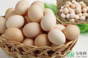 土雞蛋怎么保存時間長？土雞蛋怎么保鮮？