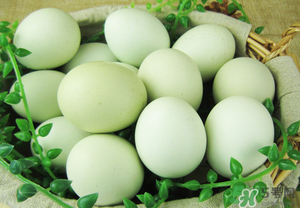 綠殼雞蛋多少錢(qián)一個(gè)？綠殼雞蛋多少錢(qián)一斤？