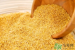 小黃米和大黃米哪個(gè)好?小黃米和大黃米的區(qū)別