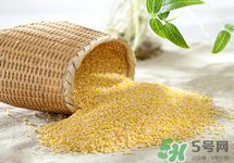 寶寶可以吃小黃米嗎?寶寶吃小黃米好嗎 寶寶可以吃小黃米嗎?寶寶吃小黃米好嗎