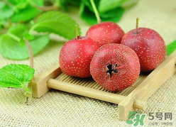 新鮮山楂什么時候上市？新鮮山楂什么時候成熟？