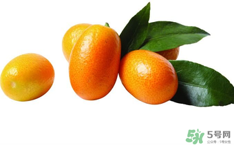 金桔可以帶皮吃嗎？金桔皮能吃嗎？