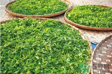 冬天可以喝綠茶嗎？冬天喝綠茶好還是紅茶好？