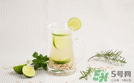 檸檬水可以用熱水泡嗎？檸檬水用涼水泡還是熱水泡？