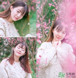 伊諾姿櫻花氣墊多少錢？伊諾姿櫻花氣墊價格