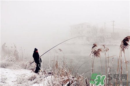 冬天能釣魚嗎？冬天適合釣魚嗎？