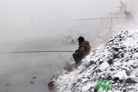 冬天能釣魚嗎？冬天適合釣魚嗎？