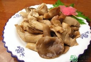 鮑魚菇怎么做好吃？鮑魚菇的功效與作用