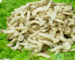 秀珍菇的營養(yǎng)價(jià)值 秀珍菇的功效作用 秀珍菇的營養(yǎng)價(jià)值 秀珍菇的功效作用