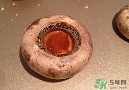 口菇變黑還能吃嗎？口菇的營養(yǎng)價值