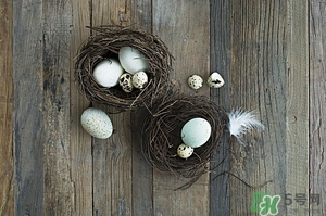 痛風(fēng)能吃毛蛋嗎?痛風(fēng)吃毛蛋好嗎 痛風(fēng)能吃毛蛋嗎?痛風(fēng)吃毛蛋好嗎