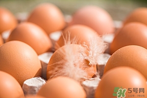 痛風(fēng)能吃毛蛋嗎?痛風(fēng)吃毛蛋好嗎 痛風(fēng)能吃毛蛋嗎?痛風(fēng)吃毛蛋好嗎