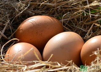 雞蛋可以帶上動車嗎？雞蛋可以帶上高鐵嗎？