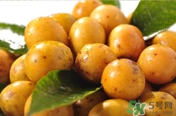 酸棗可以泡酒嗎?酸棗泡酒的功效與作用 酸棗可以泡酒嗎?酸棗泡酒的功效與作用