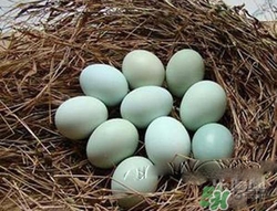 綠皮雞蛋是怎么回事？綠皮雞蛋的營(yíng)養(yǎng)價(jià)值