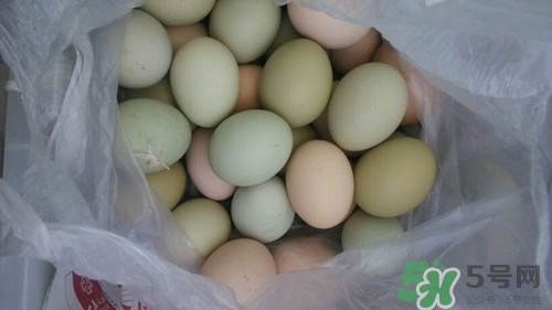 綠皮雞蛋是什么雞下的?綠皮雞蛋的營養(yǎng)價(jià)值 綠皮雞蛋是什么雞下的?綠皮雞蛋的營養(yǎng)價(jià)值
