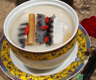 娃娃魚的營養(yǎng)價值 娃娃魚的功效與作用 娃娃魚的營養(yǎng)價值 娃娃魚的功效與作用