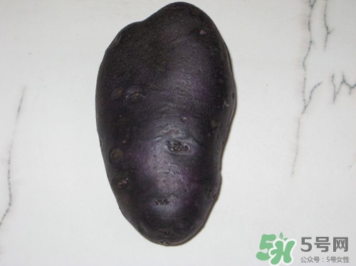 黑土豆是轉(zhuǎn)基因嗎?黑土豆怎么做好吃 黑土豆是轉(zhuǎn)基因嗎?黑土豆怎么做好吃