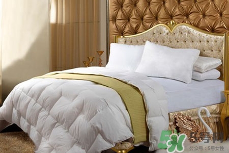 冬天蓋什么被子最暖和？冬天蓋什么被子最好？