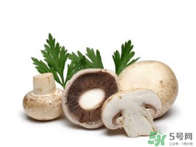 草菇怎么保存？新鮮草菇怎么保存？