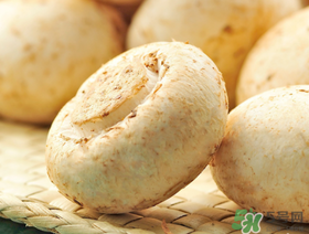 草菇怎么保存？新鮮草菇怎么保存？