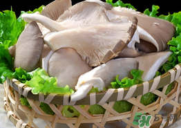 蘑菇可以放冰箱嗎？蘑菇放冰箱長毛了能吃嘛？