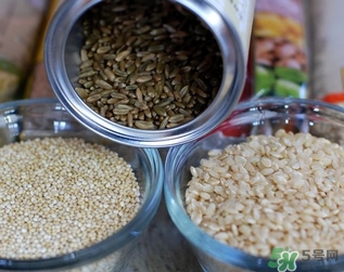 糙米的熱量 糙米的功效與作用 糙米的熱量 糙米的功效與作用