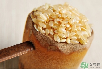 糙米的熱量 糙米的功效與作用 糙米的熱量 糙米的功效與作用