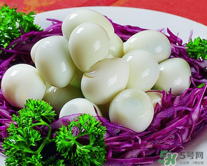 鵪鶉蛋一天吃幾個(gè)合適？鵪鶉蛋一天最多吃幾個(gè)？