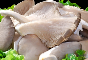 平菇怎么保存？平菇能放幾天？