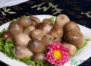 草菇可以放冰箱嗎？草菇放冰箱還能吃嗎？