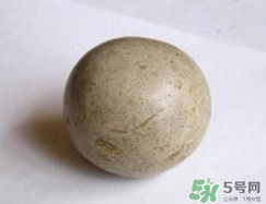 羊寶是什么？羊寶為什么這么貴？