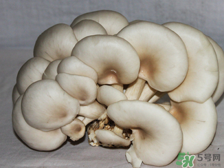 吃平菇有什么好處？平菇怎么做好吃？