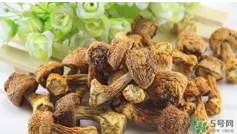 巴西蘑菇怎么吃？巴西蘑菇的作用與功效