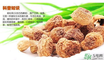 巴西蘑菇怎么吃？巴西蘑菇的作用與功效