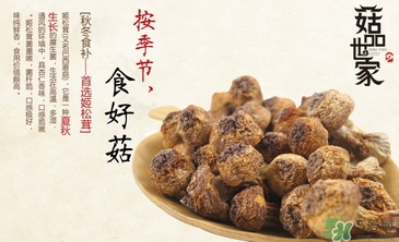 巴西蘑菇怎么吃？巴西蘑菇的作用與功效