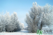 下雪天開車常識(shí)及技巧你知道嗎？下雪天開車的注意事項(xiàng)