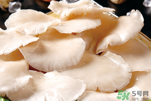 平菇怎么洗？平菇怎么洗才干凈？